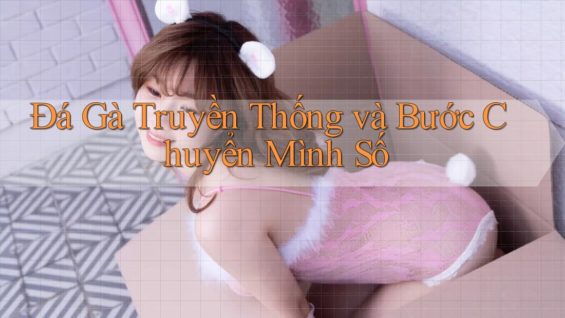 Đá Gà Truyền Thống và Bước Chuyển Mình Số Đá Gà Truyền Thống và Bước Chuyển Mình Số