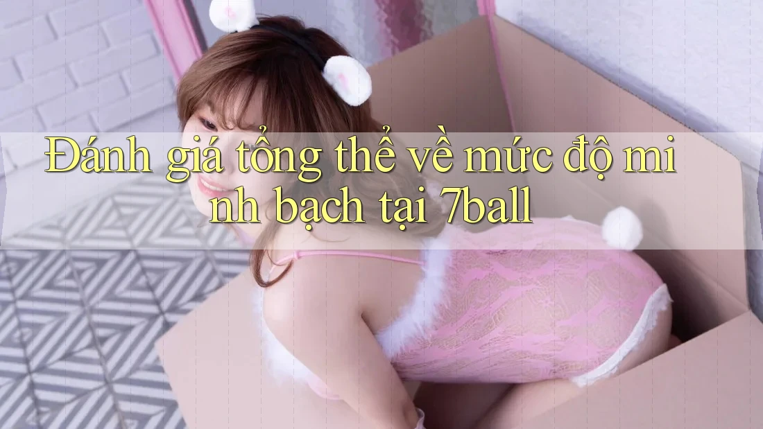 Đánh giá tổng thể về mức độ minh bạch tại 7ball Đánh giá tổng thể về mức độ minh bạch tại 7ball