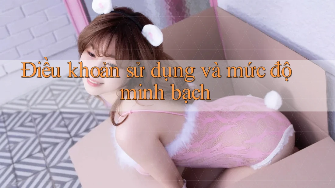 Điều khoản sử dụng và mức độ minh bạch Điều khoản sử dụng và mức độ minh bạch