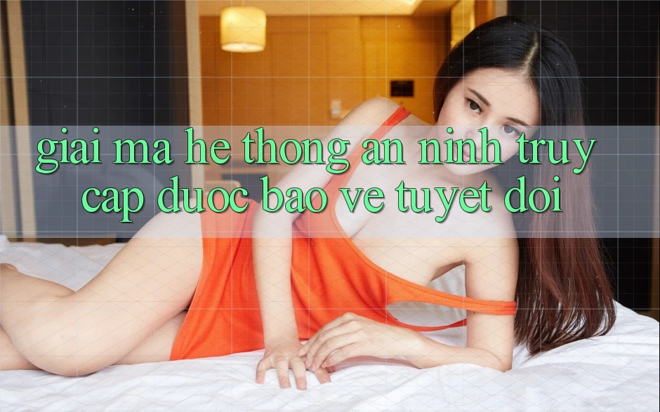 Giải Mã Hệ Thống An ninh: Truy Cập Được bảo vệ Tuyệt Đối