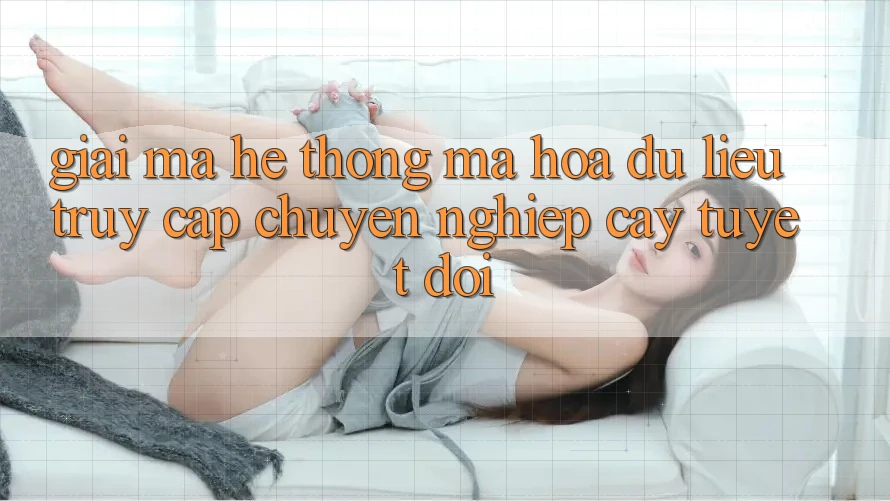 Giải Mã Hệ Thống Mã hóa dữ liệu: Truy Cập Chuyên nghiệp cậy Tuyệt Đối