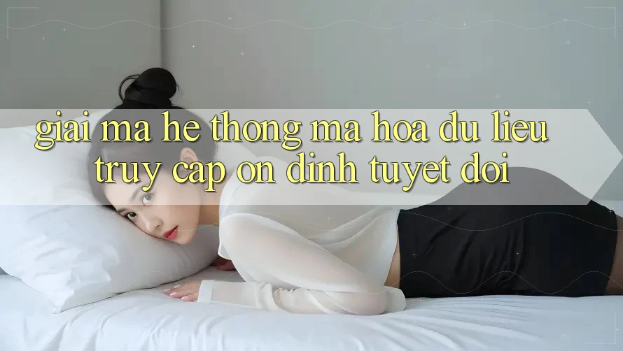 Giải Mã Hệ Thống Mã hóa dữ liệu: Truy Cập Ổn định Tuyệt Đối