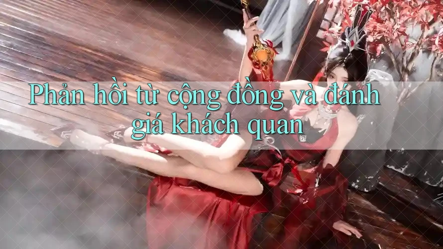 Phản hồi từ cộng đồng và đánh giá khách quan